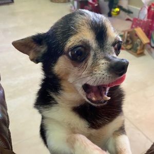 Meet your Posher, Zeida